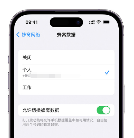 岳麓苹果维修服务分享如何在iPhone上使用双卡 